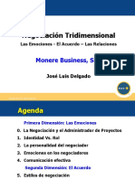 Negociacion Tridimensional AdeP