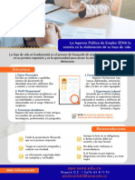 Infografia Hoja de Vida PDF