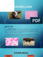 PASTEURELLOSIS