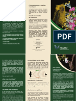 Brochure Murciélagos PDF