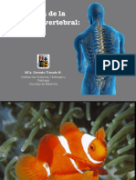 Anatomía-de-la-columna-vertebral.pdf