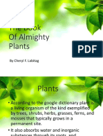 The Book of Almighty Plants: by Cheryl F. Labitag