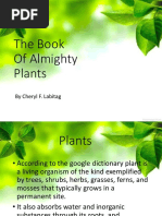 The Book of Almighty Plants: by Cheryl F. Labitag