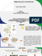 Triada Epidemiologica de La Cisticercosis