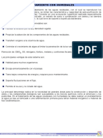 Tratamiento Con Humedales PDF