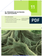El proceso de nutrición en las plantas.pdf