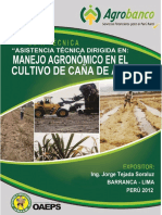 012-b-cana-de-azucar Plagas,2012.pdf