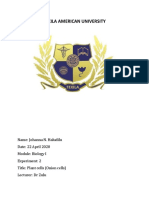 Biology 2nd Lab Report (Onion Cell)