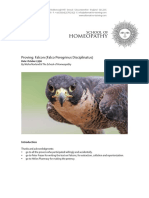 Proving of Falcon BLK FINAL PDF