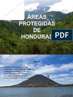 Areasprotegidasdehonduras 161023065216 PDF