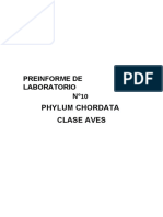 Preinforme - Clase Aves.2020