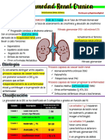 Enfermedad Renal Cronica2