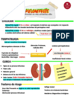 Pielonefritis