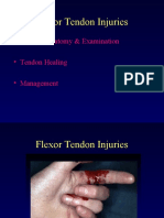 Flexor Tendon Injuries: - Applied Anatomy & Examination - Tendon Healing - Management