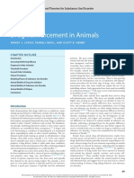 Drug Reinforcement in Animals: Behavioral Theories For Substance Use Disorder