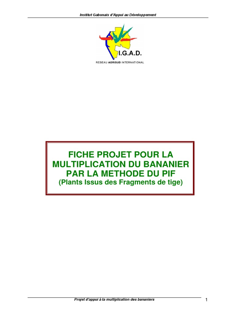 Fiche Pif Plans Issus de Fragments de Tige | PDF | Ingénierie des ...