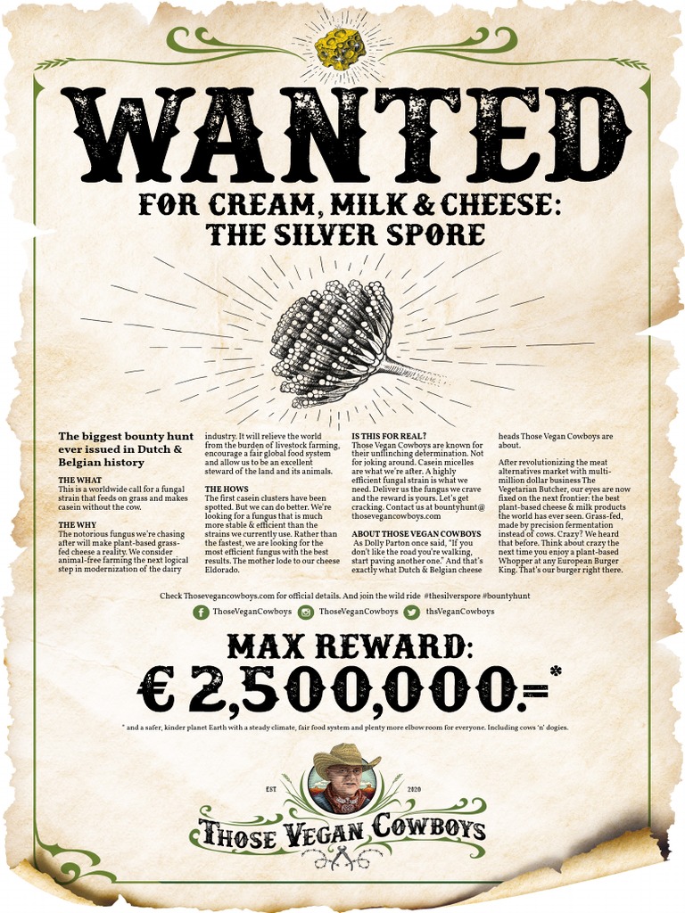 The Biggest Bounty Hunt Ever Issued in Dutch & Belgian History PDF
