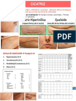 Tipos de cicatrices: normales, hipertróficas, hipopigmentadas y atróficas