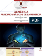 Genética