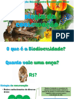 Biologia Da Conservação