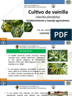 Cultivo de vainilla (Vanilla planifolia).pptx