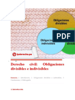 Obligaciones Divisibles