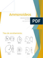 Ammonoideos 1.pptx