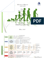 Etapas Del Desarrollo Humano PDF