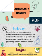 Bacterias y Hongos