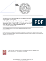 Description of Ostertagia ostertagi and Ostertagia leptospicularis Hybrids