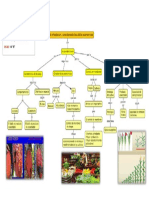 Mapa Etomologia