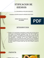 Identificacion de Riesgos 1 PDF