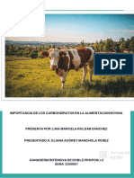 Importancia de Los Carbohidratos en La Alimentacion Bovina PDF