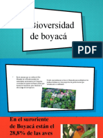 Bioversidad de Boyaca
