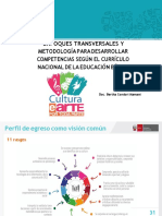 Desarrollo de competencias según el Currículo Nacional