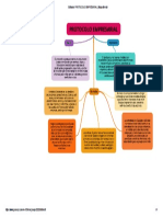 Protocolo Empresarial