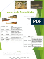 Zoocría de Crocodylidos: Crecimiento y Hábitat