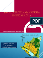 3 D P Nicaragua