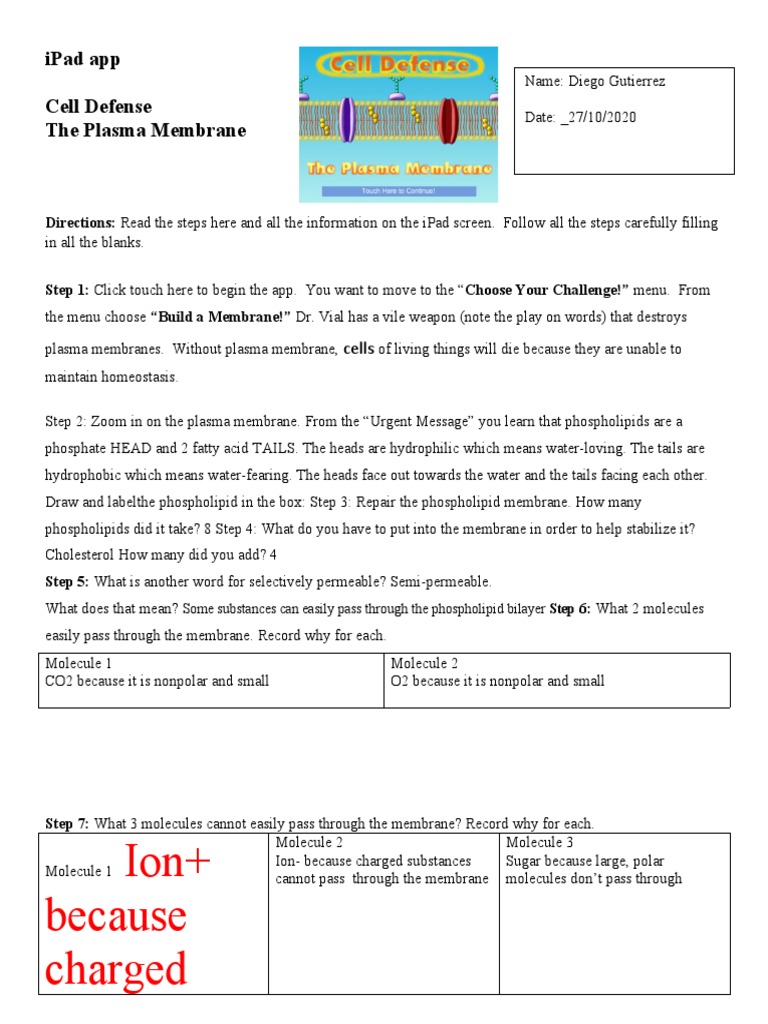 Cell Defense Worksheet Pdf Cell Membrane Osmosis