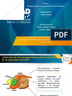 Practica 1 - Nutrición de Rumiantes.