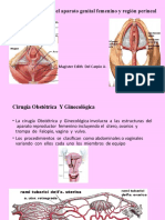 8 Clase Pelvis Blanda