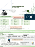 Plantilla - 20.3 v2