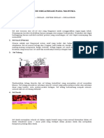 SISTEM ORGANISASI PADA MANUSIA Fix