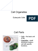 Cell Organelles Review