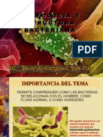 Estructura y Morfología Bacteriana - Q.C. Ricardo Ezequiel Keb Puc Web