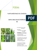 Poema Plantas Medicinales