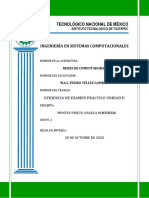 Angela Montes Prieto - EVIDENCIA DE EXAMEN PRACTICO UNIDAD II PDF