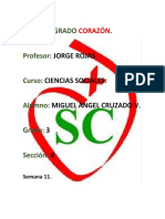 ccss semana 11.docx