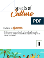 5 Aspects-Of-Culture