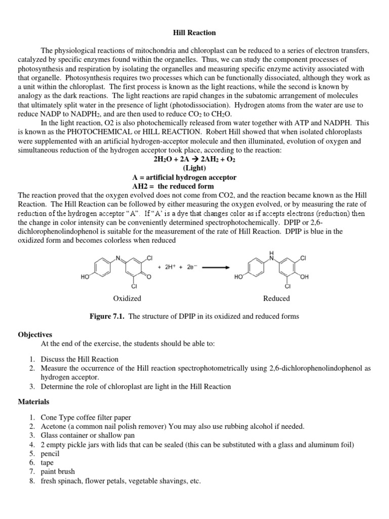 7 Hill Reaction | PDF | Photosynthesis | Chemical Reactions